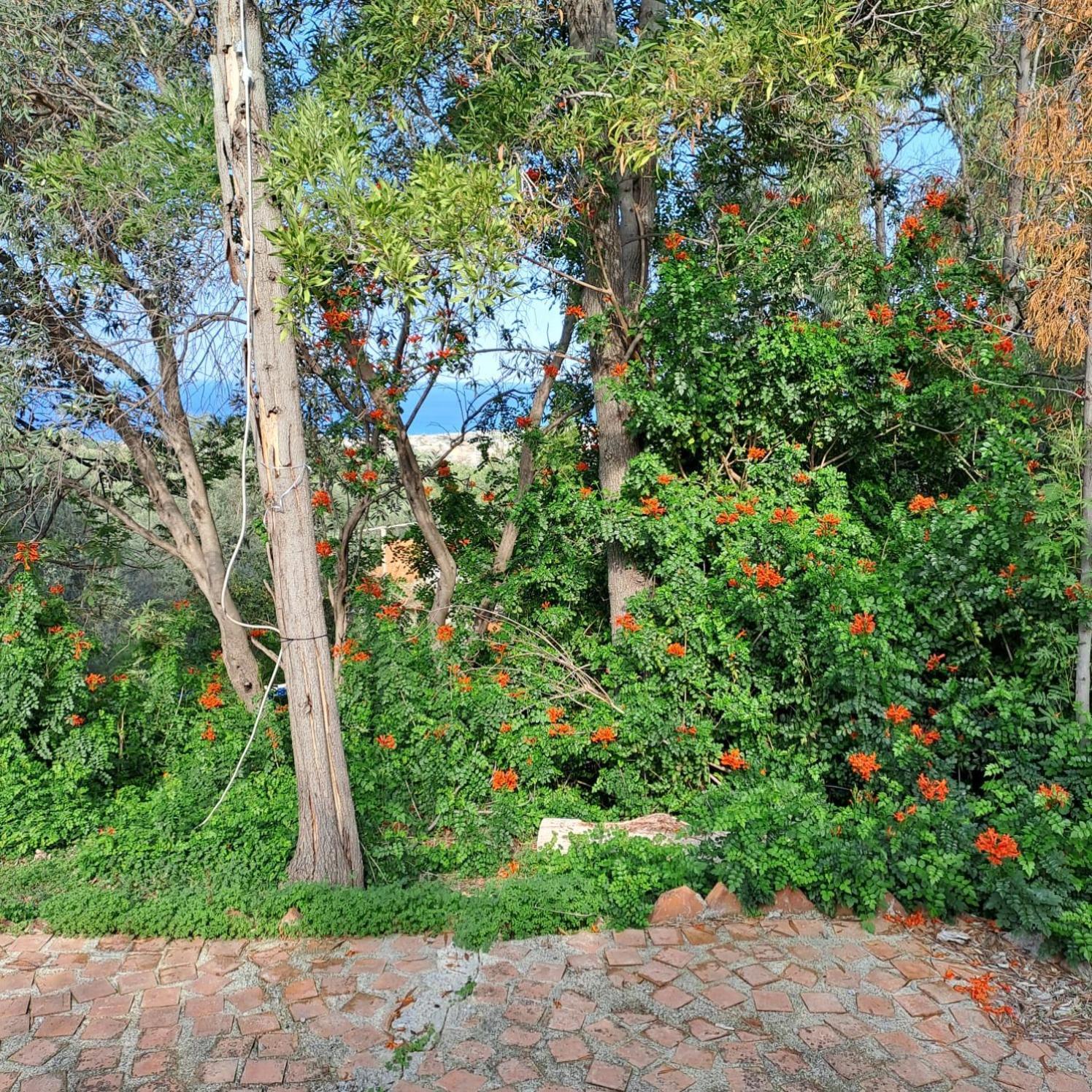 روميتا ماريا Villa Gatto المظهر الخارجي الصورة